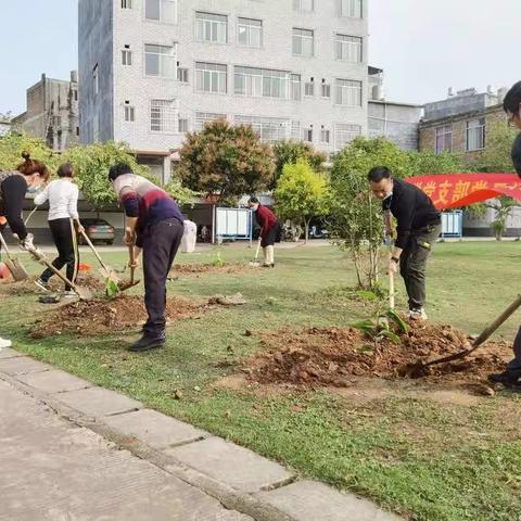 党建引领，春满校园——玉州区腾扬小学党支部植树节主题党日活动