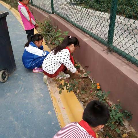 校园是我家，环境靠大家