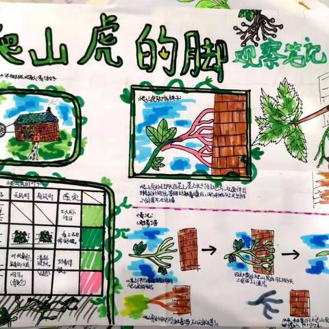 2020年——我们的中秋国庆