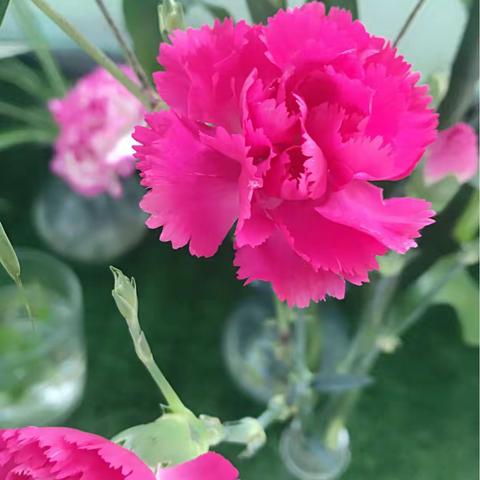 大三班 我们的自然角