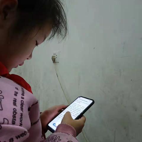 习近平祝贺冰雪健儿