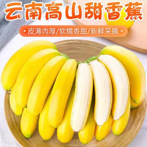 云南香蕉全年发货销售稳定合作简介