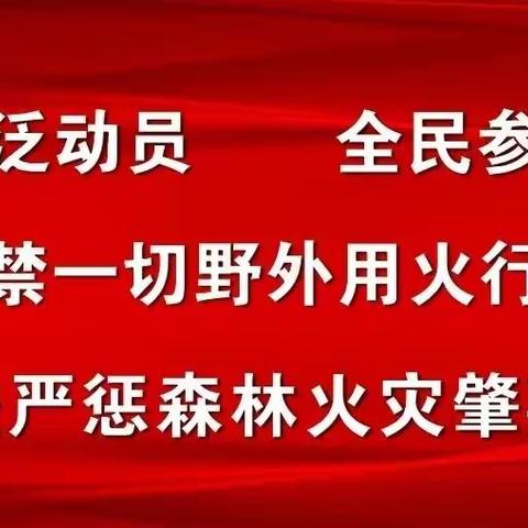 绕金乡召开森林防火工作专题会