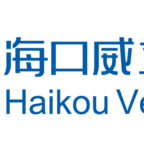 海口威立雅公司党委召开换届选举党员大会