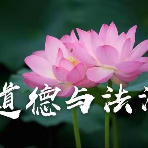 甄教育素材，系家国情怀——西港路小学道德与法治学科主题教研活动纪实
