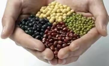 明德实验学校碧海校区小学一年级科学“种植令”