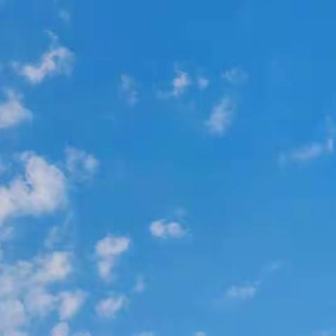 秋