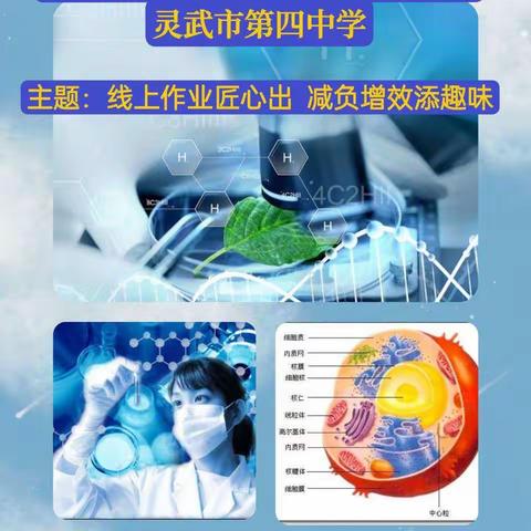 灵武四中生化组创新作业               线上展评活动