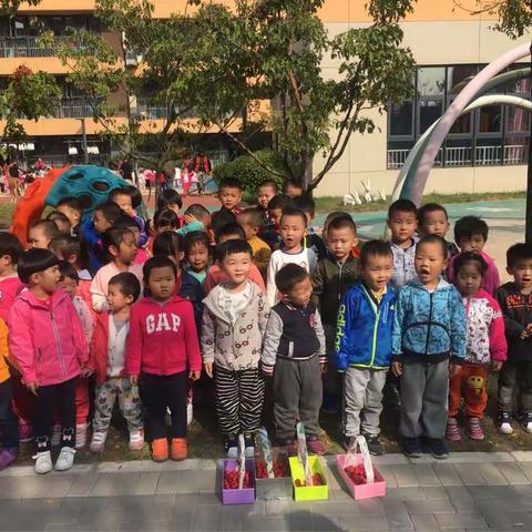 丰富的户外活动…