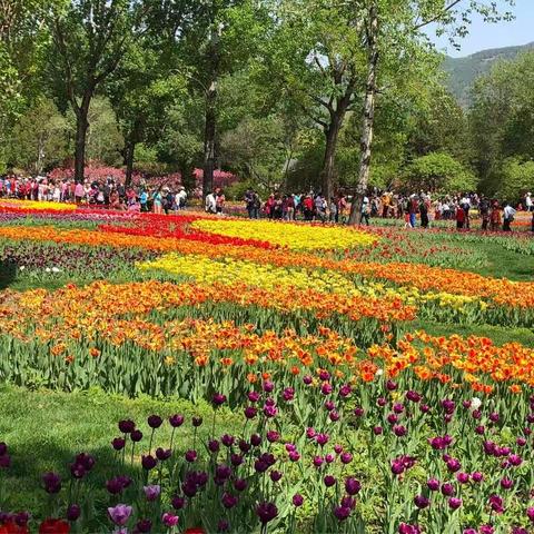 拥抱自然———第一次春游啦