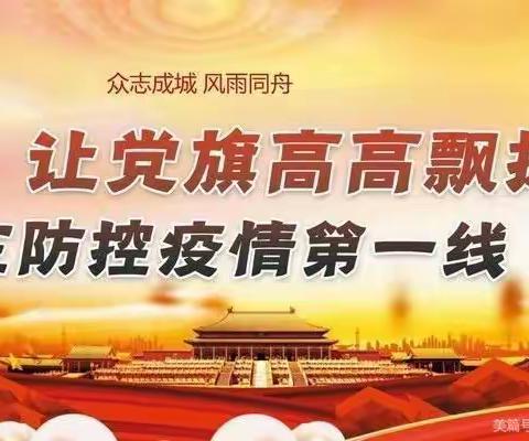 发挥党员模范先锋带头作用助力农村地区疫情防控