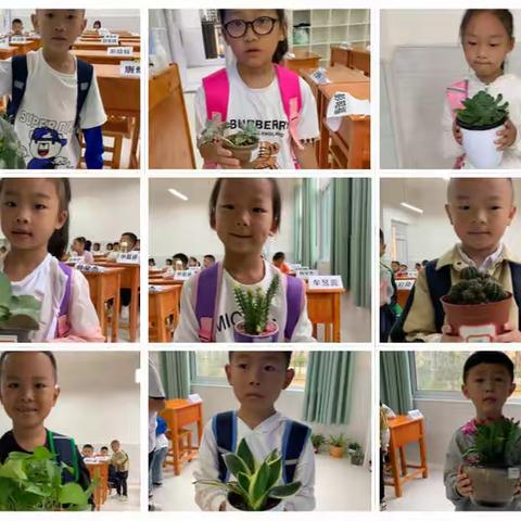 致班主任工作———第二周