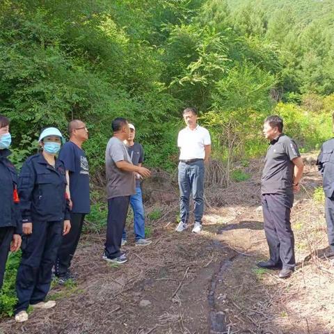 筑牢绿色屏障   全面推进林长制建设