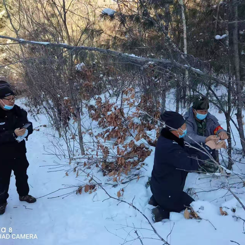 【动物保护】2022年清山清套在行动