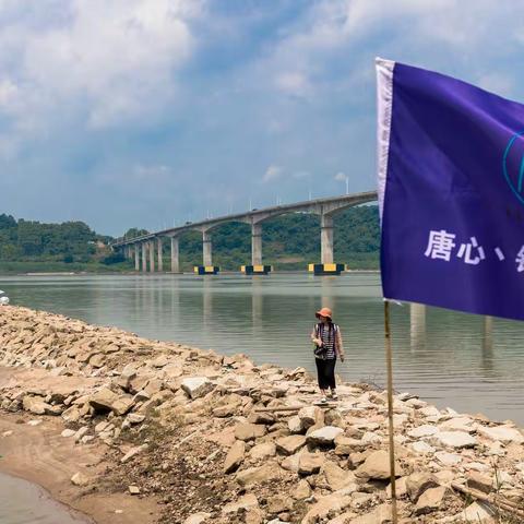 广东省肇庆市封开县2019唐心杯西江自然水域野钓大赛