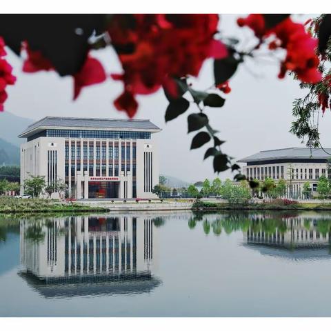 肇庆市委党校校内风景采风