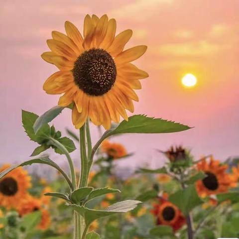 兴华借“减”，拨家庭阅读之弦——兴华路小学落实双减之家庭阅读篇