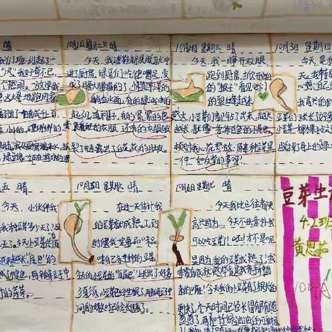 红日实验小学四年级综合劳动实践活动作品展