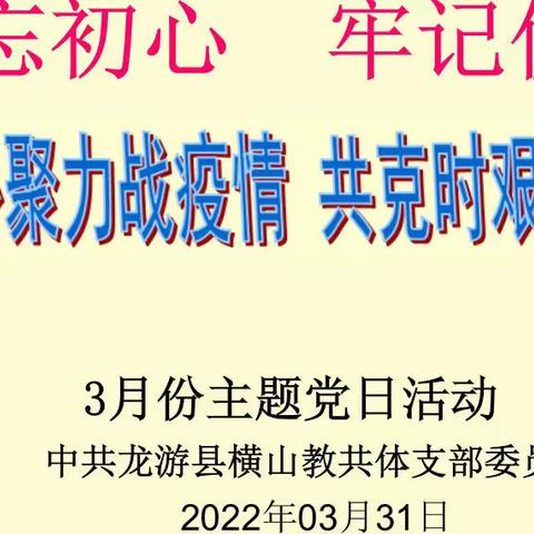 凝心聚力战疫情 共克时艰显担当——横山教共体3月份主题党日活动