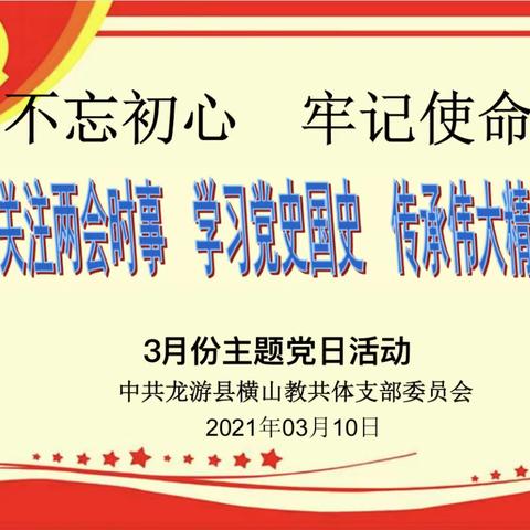 关注两会时事 学习党史国史 传承伟大精神——横山教共体党支部3月份主题党日活动