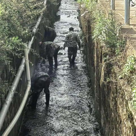 落实“河长制”工作，刺桐关社区清理河道环境卫生专项整治行动