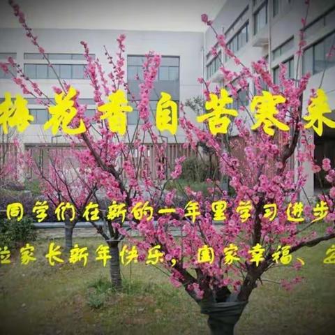 阳光总在风雨后，沟通、交流、合作——三坊学校八年级（1）班家长会