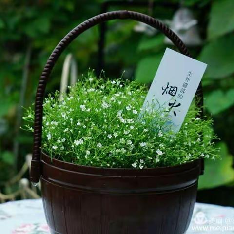 烈日炎炎，我们把爱传递——记三坊学校七年级“万师访万家”家访活动——一场拯救灵魂的旅程