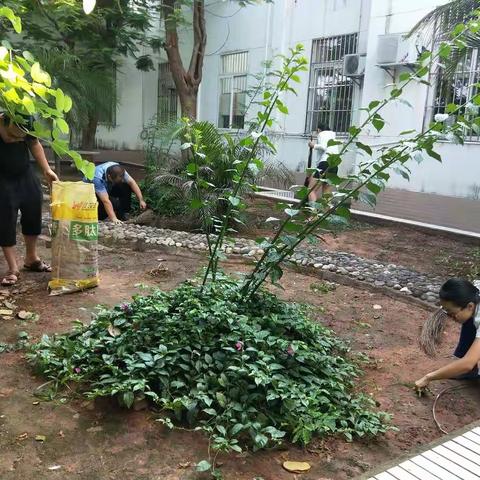 土林收费站业务熟练，规范便捷