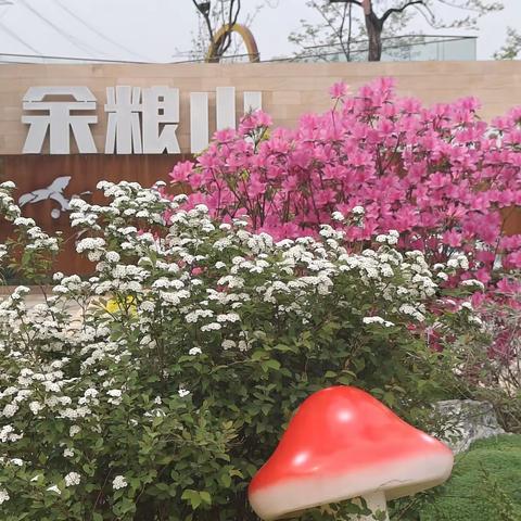 余粮山木屋民宿即将开业，敬请期待。