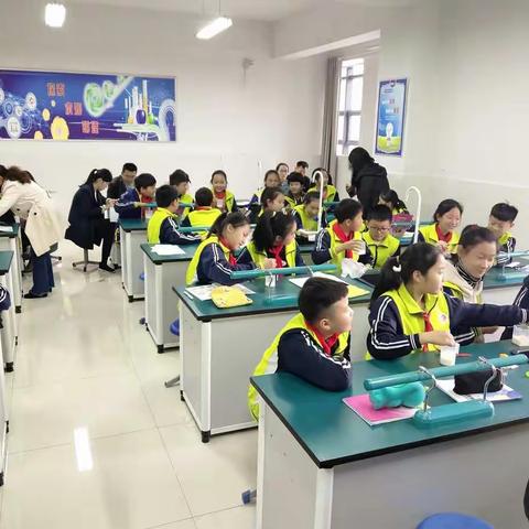 在操作中感受、在实验中感知——台儿庄区明远实验小学常识组科学教研课