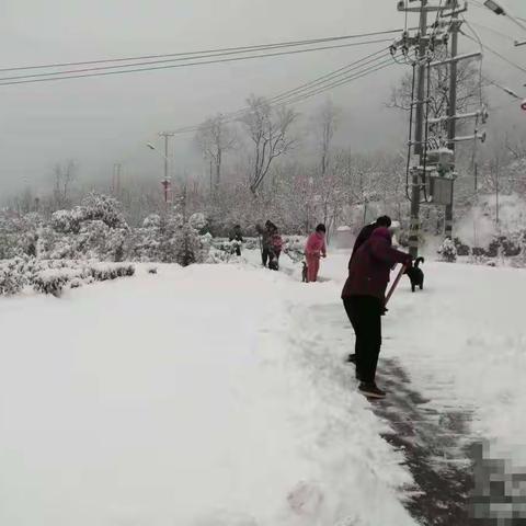 众志成城  共御冰雪——致寨豁乡广大父老乡亲的一封信