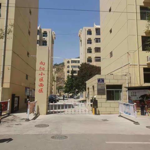 向阳片区一周工作简报（11月份第一周）