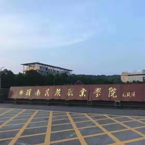 2023年岳阳经开区小学数学骨干教师能力提升项目培训——第一期学习简报