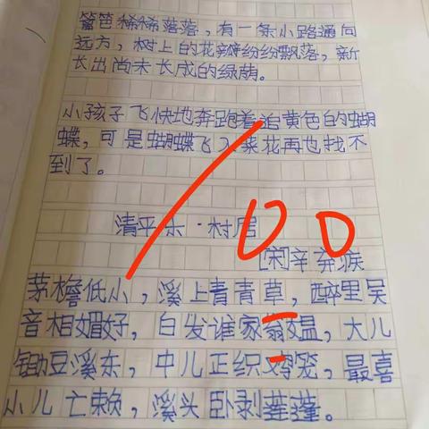 金河镇下吴小学线上学习之花---袁淅扬同学