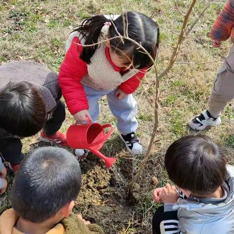 “童心稚手，点亮绿色”        —— 青山泉中心幼儿园植树节活动