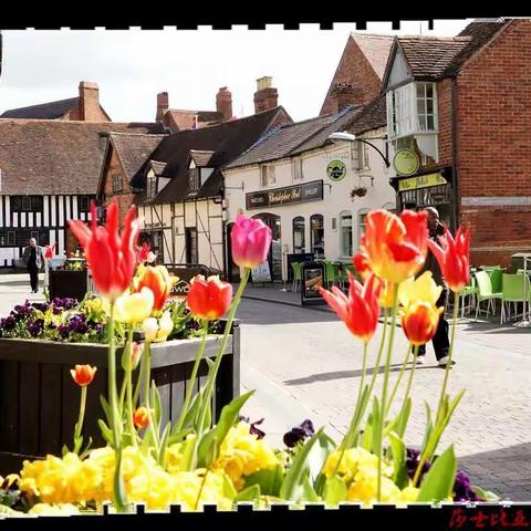 仲夏阳光——莎翁小镇