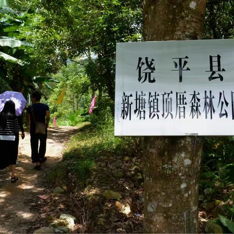 饶平森林公园  新塘