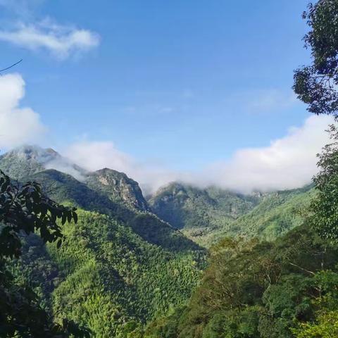 风景如画的九十九墩