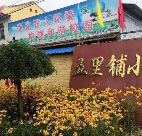 劳动实践        助力“双减” ——凤鸣镇五里铺小学开展劳动教育课程系列活动