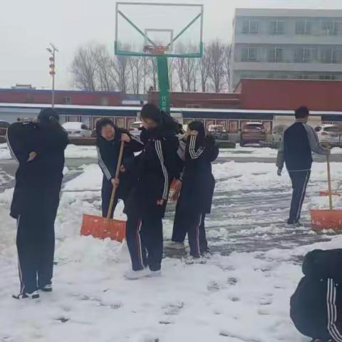 北京新学道代县双语课外活动感悟