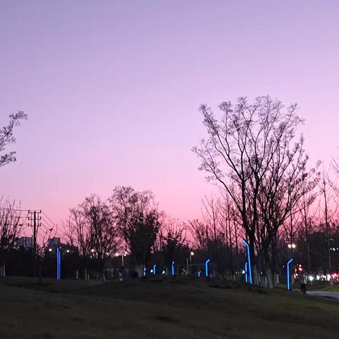  雨 的美篇