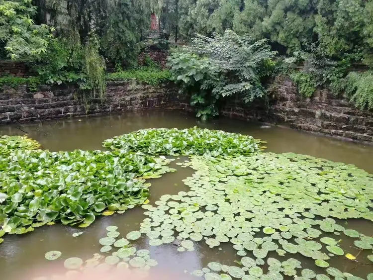 雨中访济南南泉寺