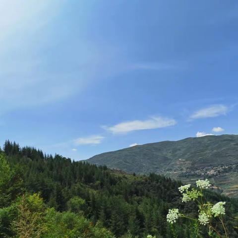 炎热的夏末，咱们一起看草原