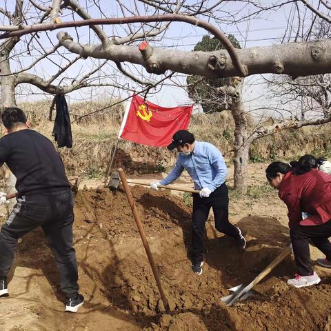 作风建设在路上  为民办事防春寒         志愿服务齐上阵