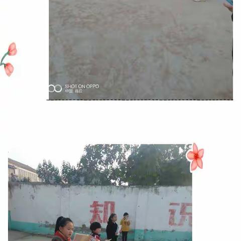 晨读系列报道