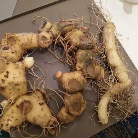 黄精的功效与黄精的10种吃法