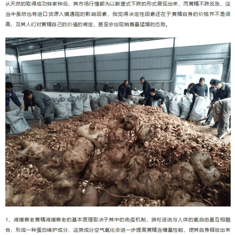 黄精市场行情发展趋势展现阶梯性大涨