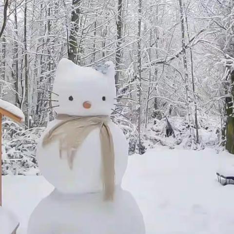 探秘唯美雪景 邂逅最美童年——乔庄镇中心幼儿园中二班雪中倩影