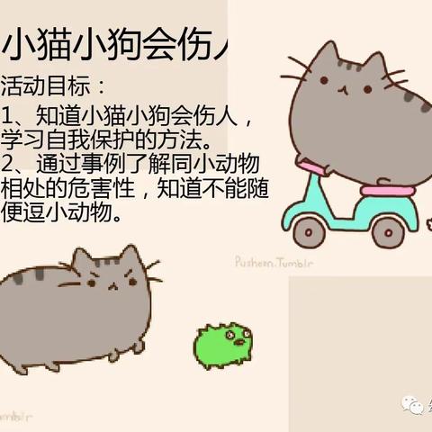 小猫小狗会伤人