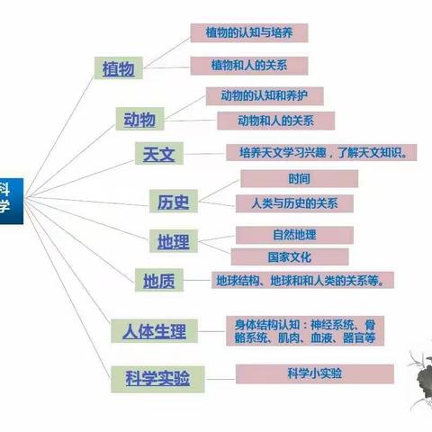 蒙台梭利科学文化教育——科学领域